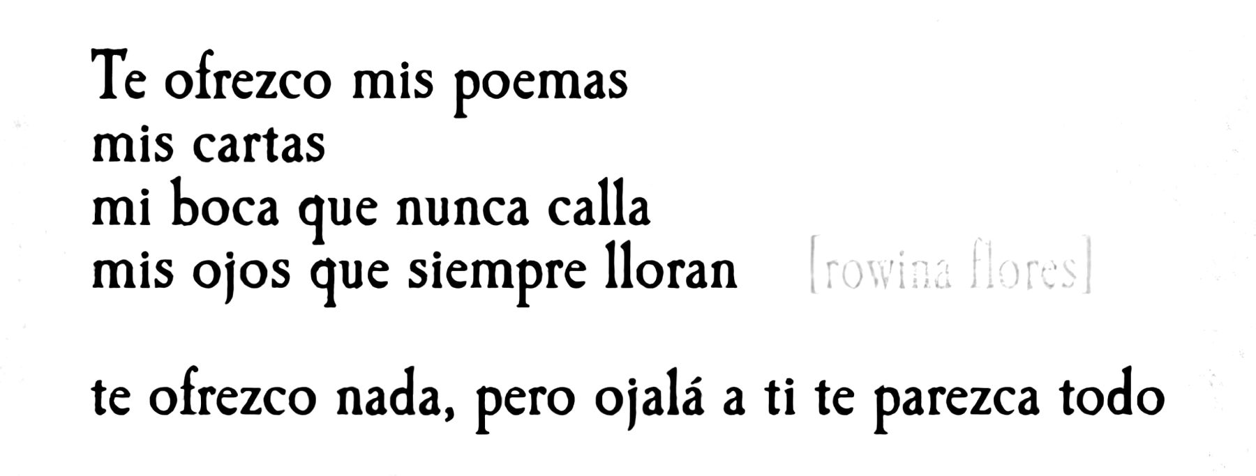 café visceral.  cover img