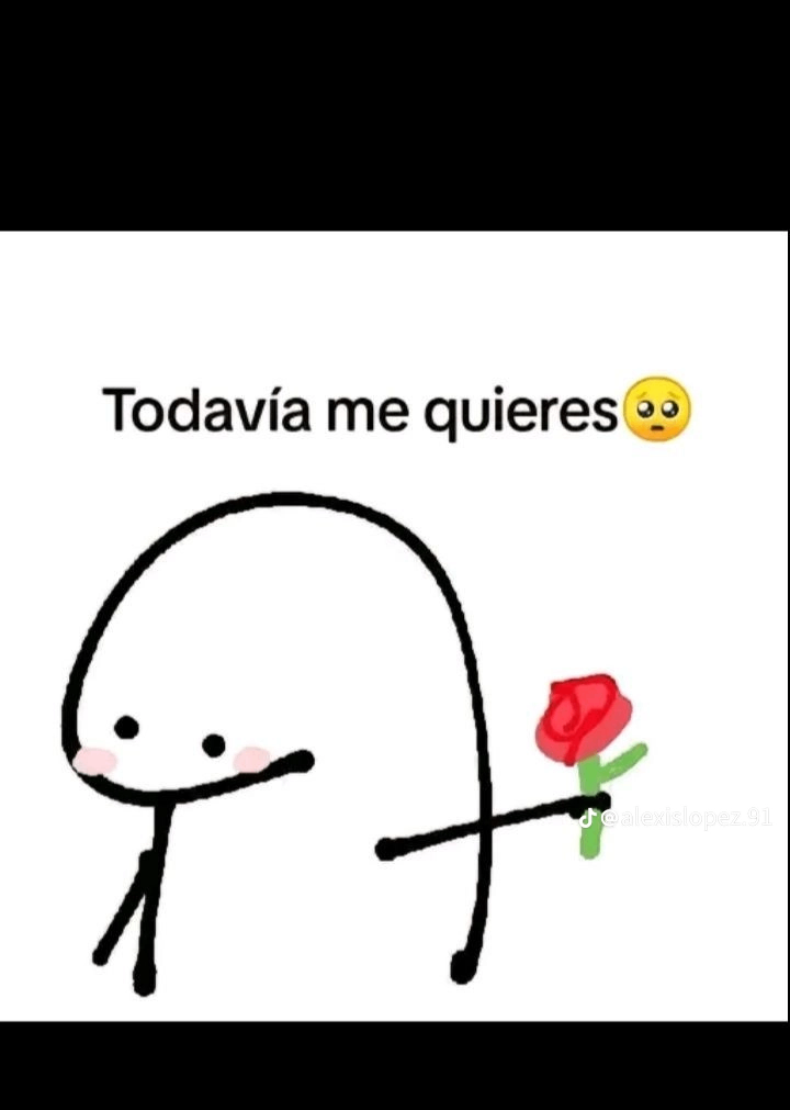 Recuerdos de un amor incondicional 