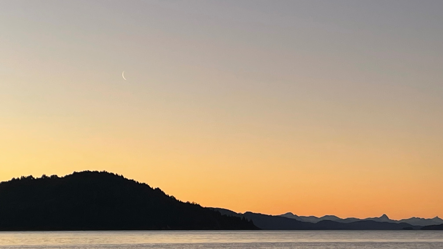 la vida ocurriendo en lo mínimo 