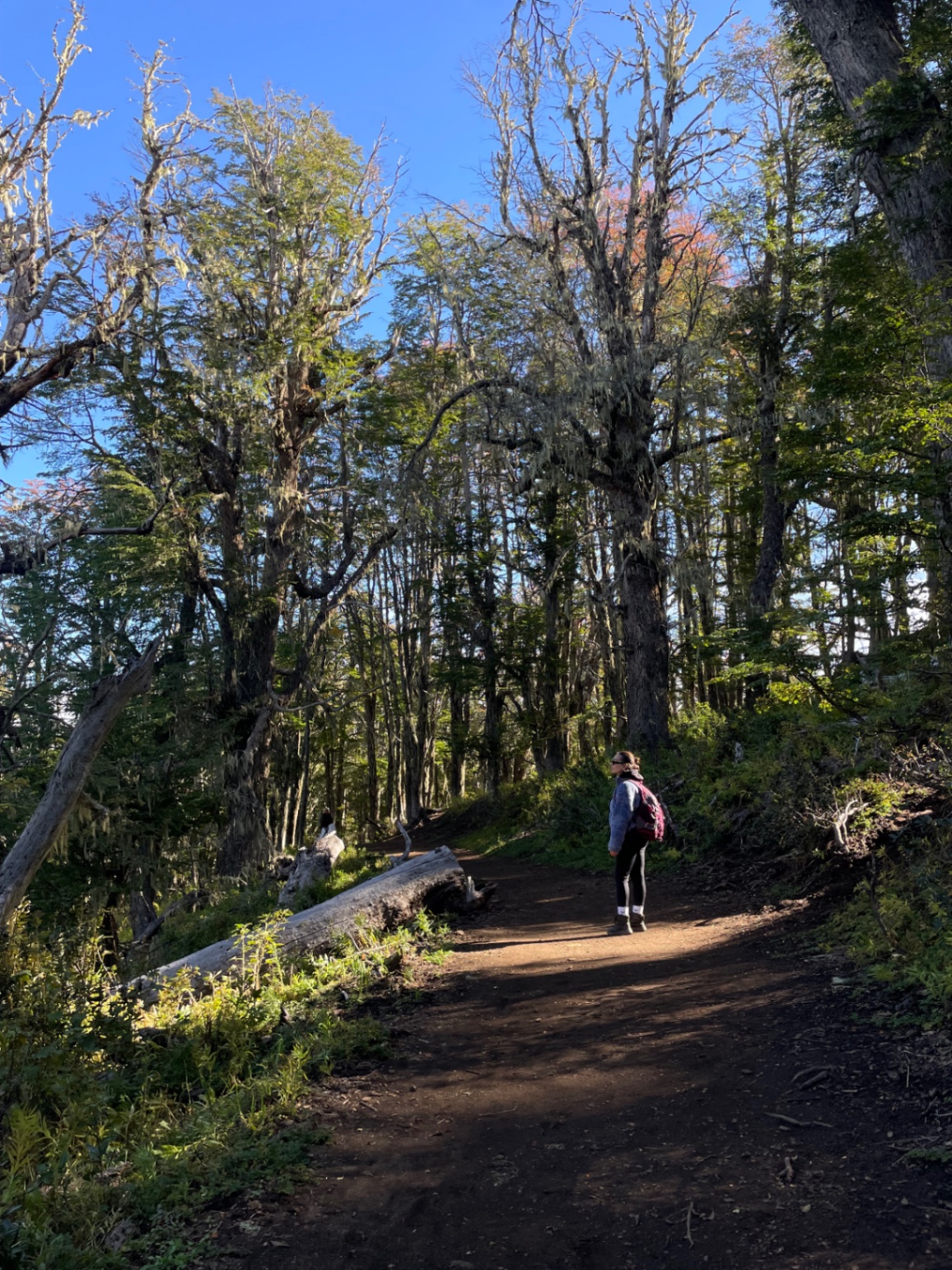 el corazón cuando empuja
