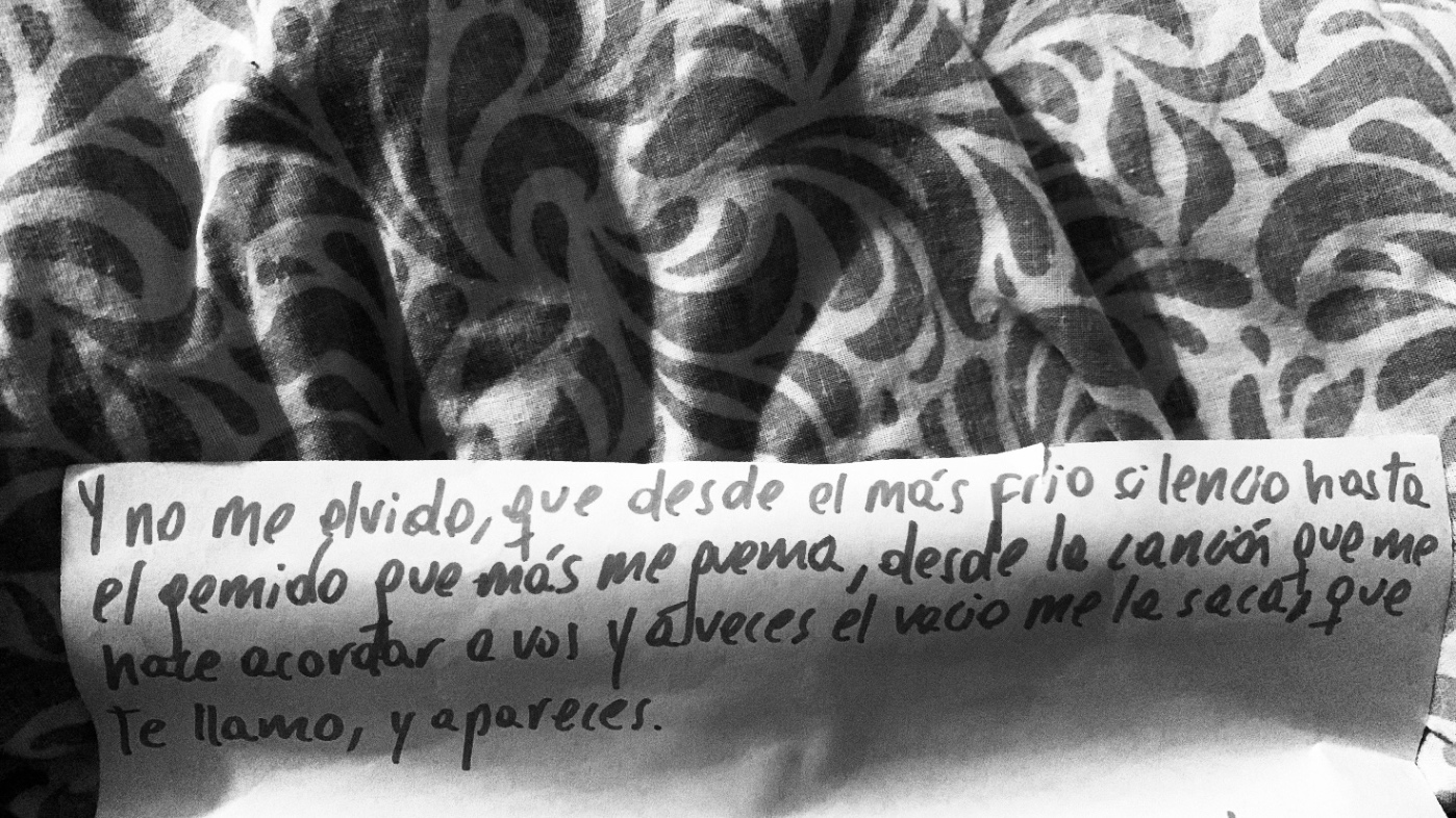 vos sos la poesía 