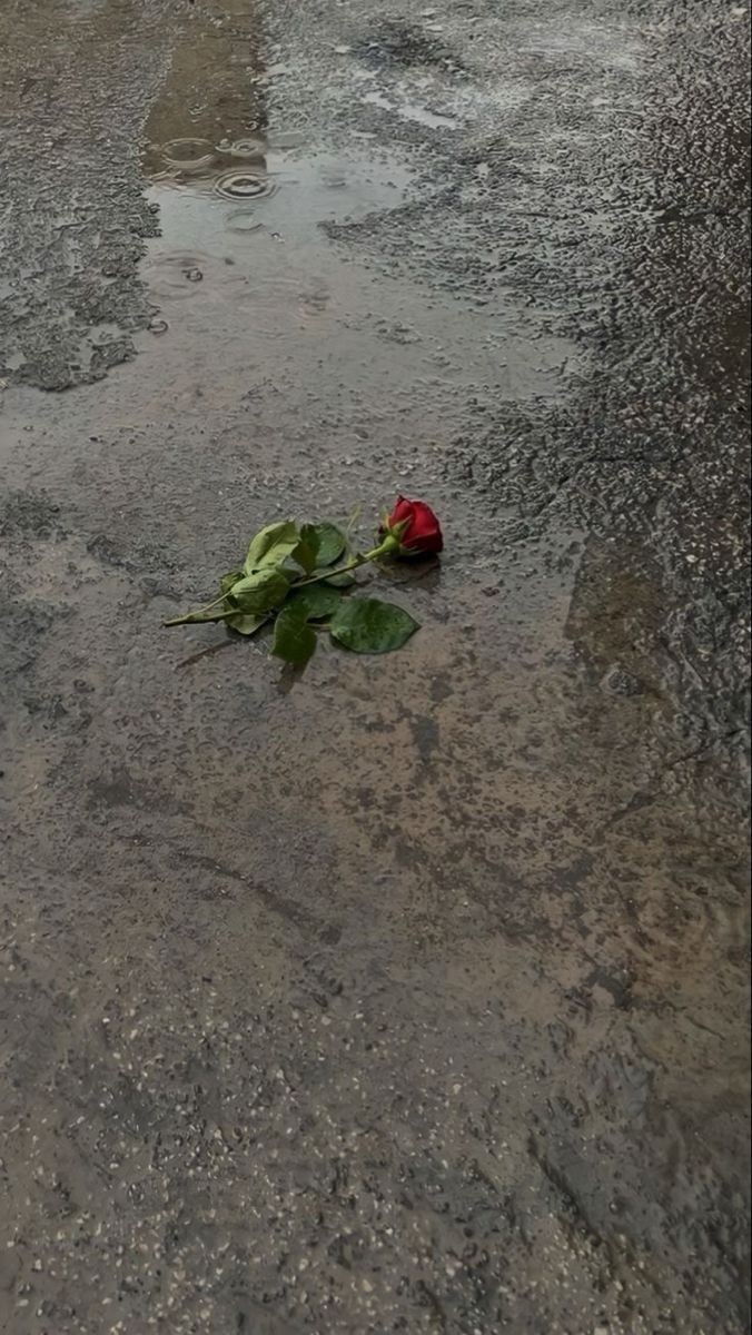 Oler el miedo