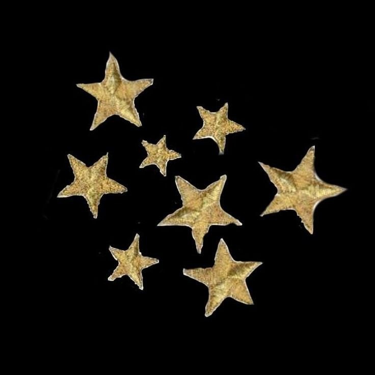 Una noche llena de estrellas