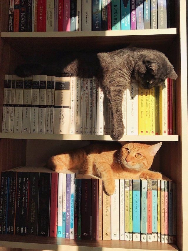 Solo amigos