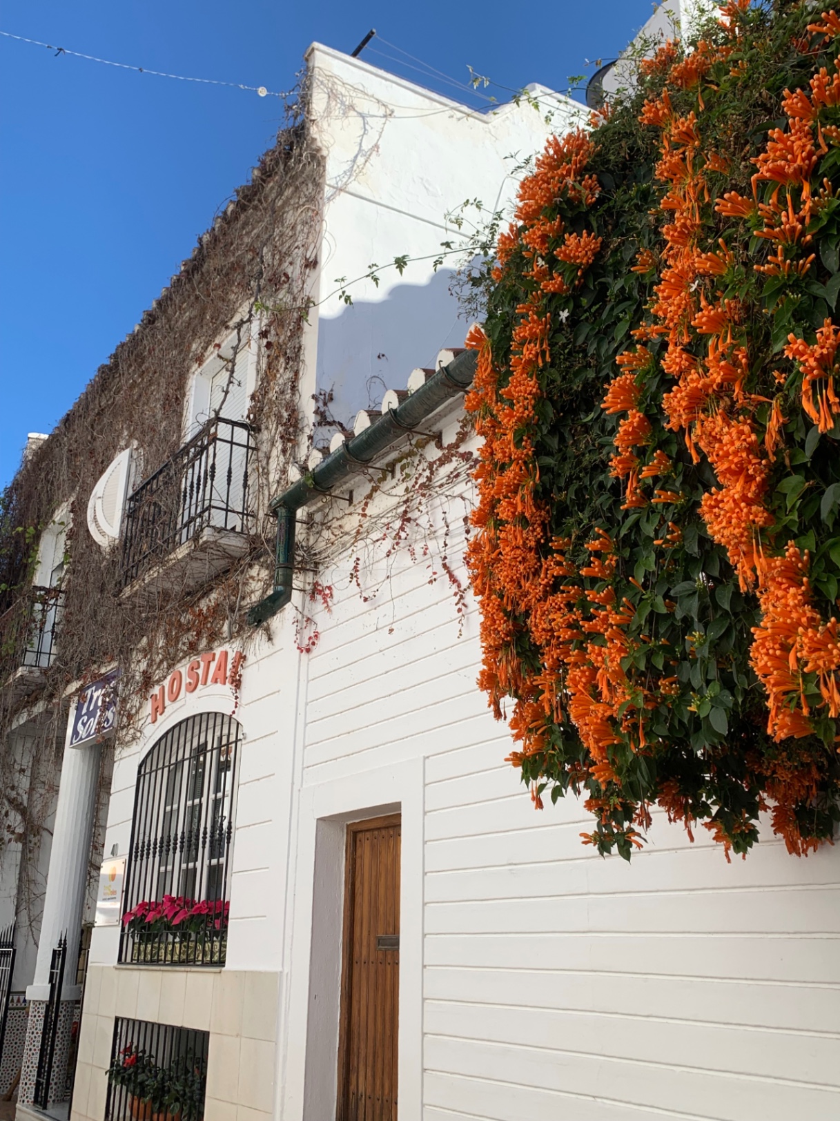 2 de enero (en el hemisferio sur)