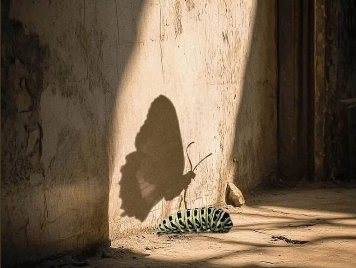 Desprenderse poco a poco