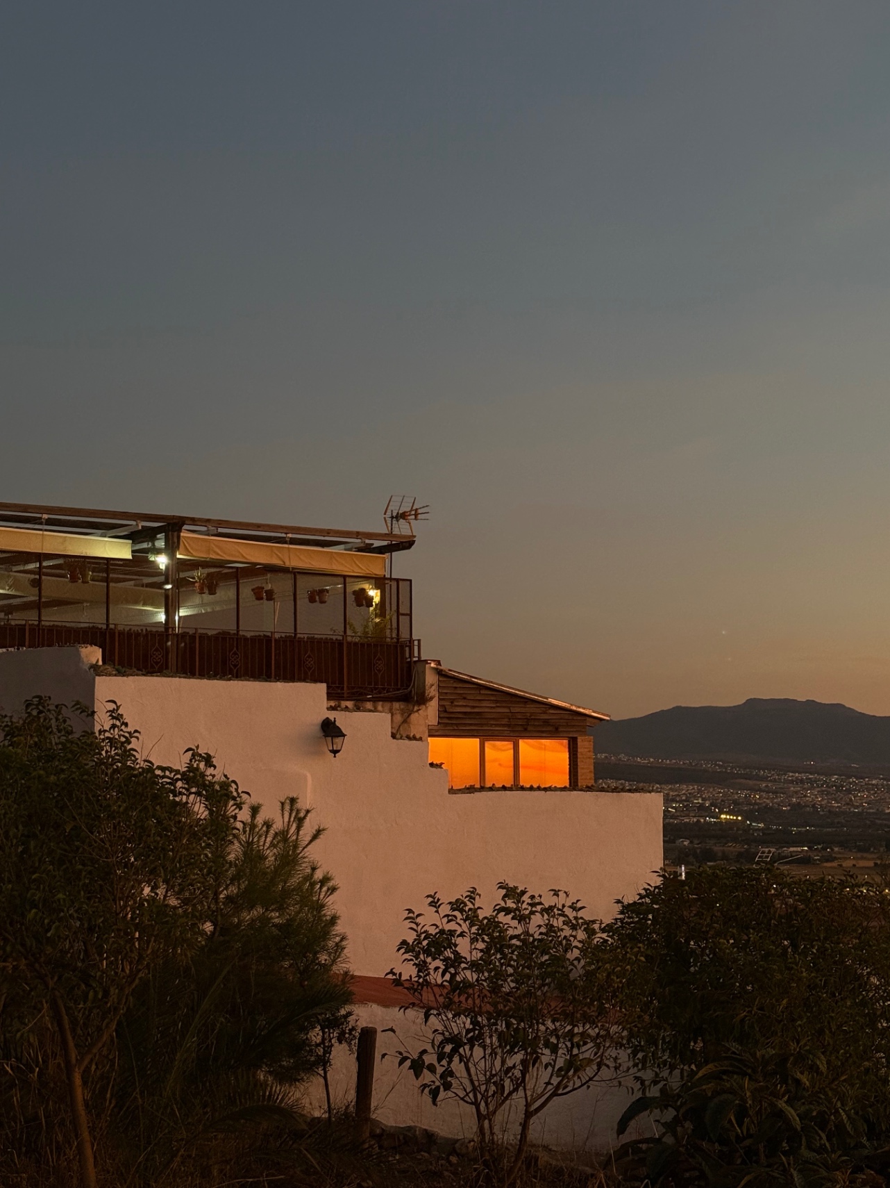 Yo nunca te pedí que me quisieras