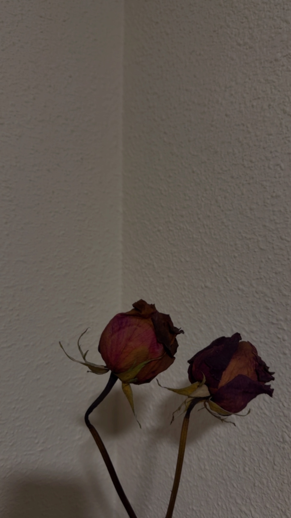 Volver a empezar 🥀