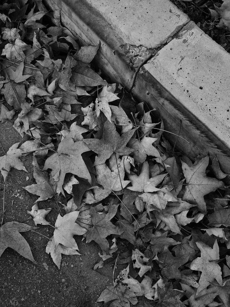 Inventario de un naufragio 