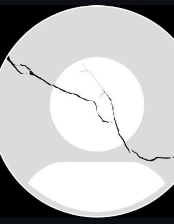 PERFECCIÓN DEL ERROR 