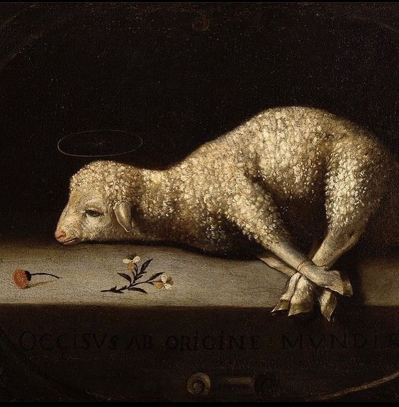 Cazador