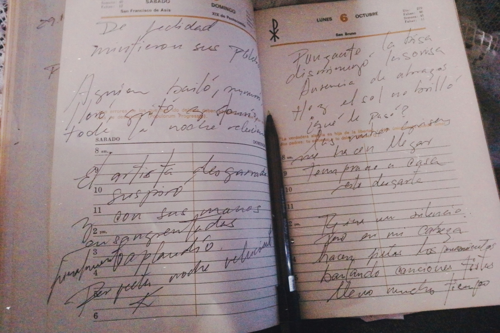 karla estego cover img