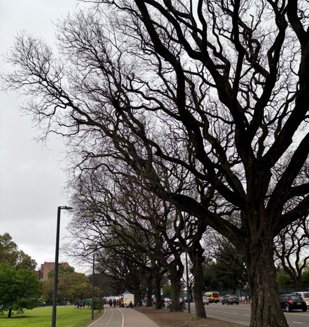 Si mi papá leyera esto diría “ponete a laburar, y vas a ver como dejas de pensar boludeces” 