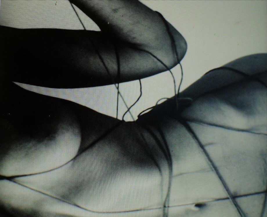 fibra enlazada en ti.