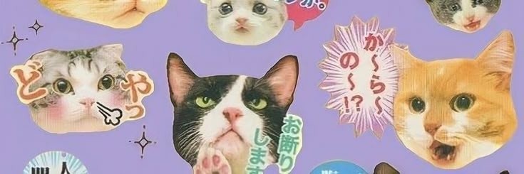 fran♡ cover img