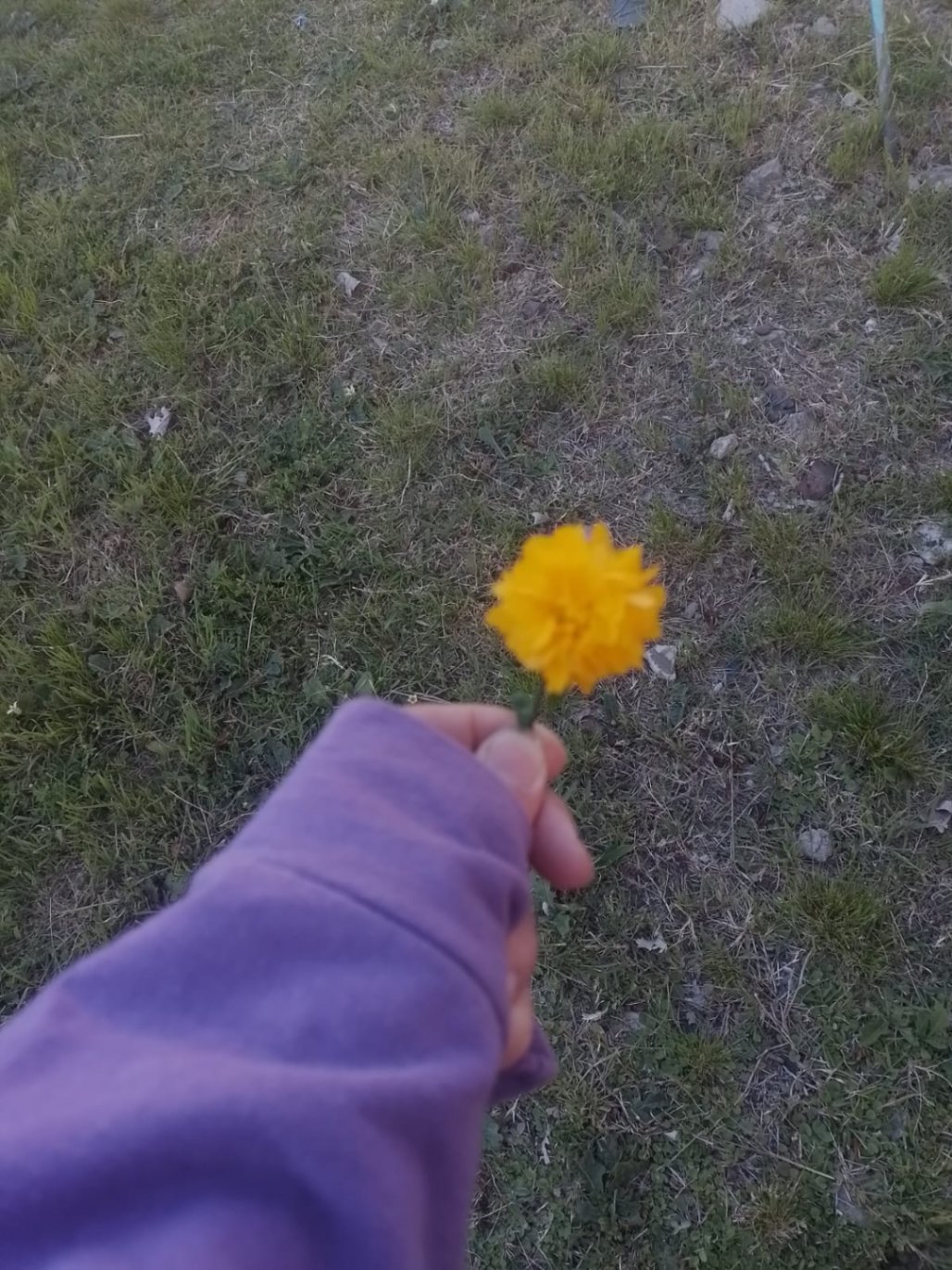 Carta a la infinitud de tu amor