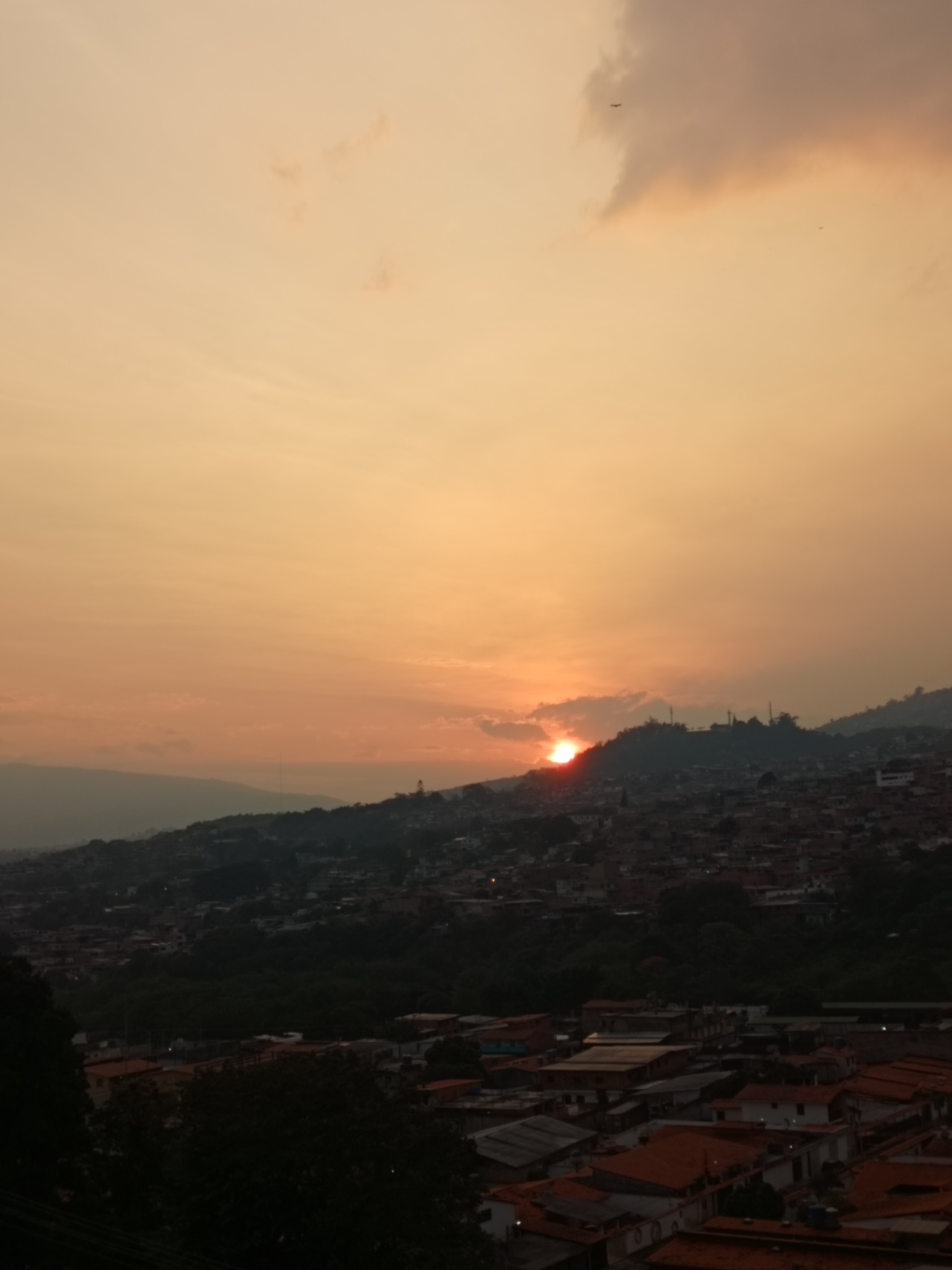 Valentina  cover img