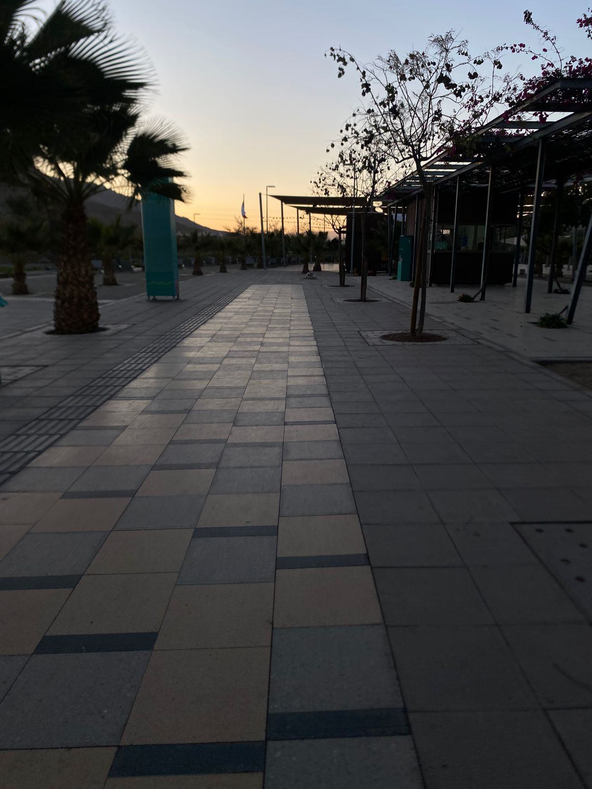 Rechazo a lo maternal.