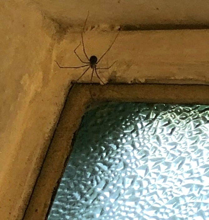 Más allá de la ventana 