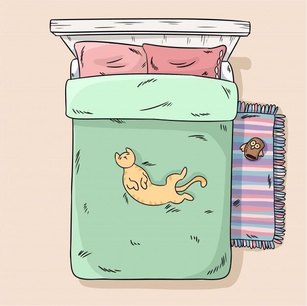 Cama