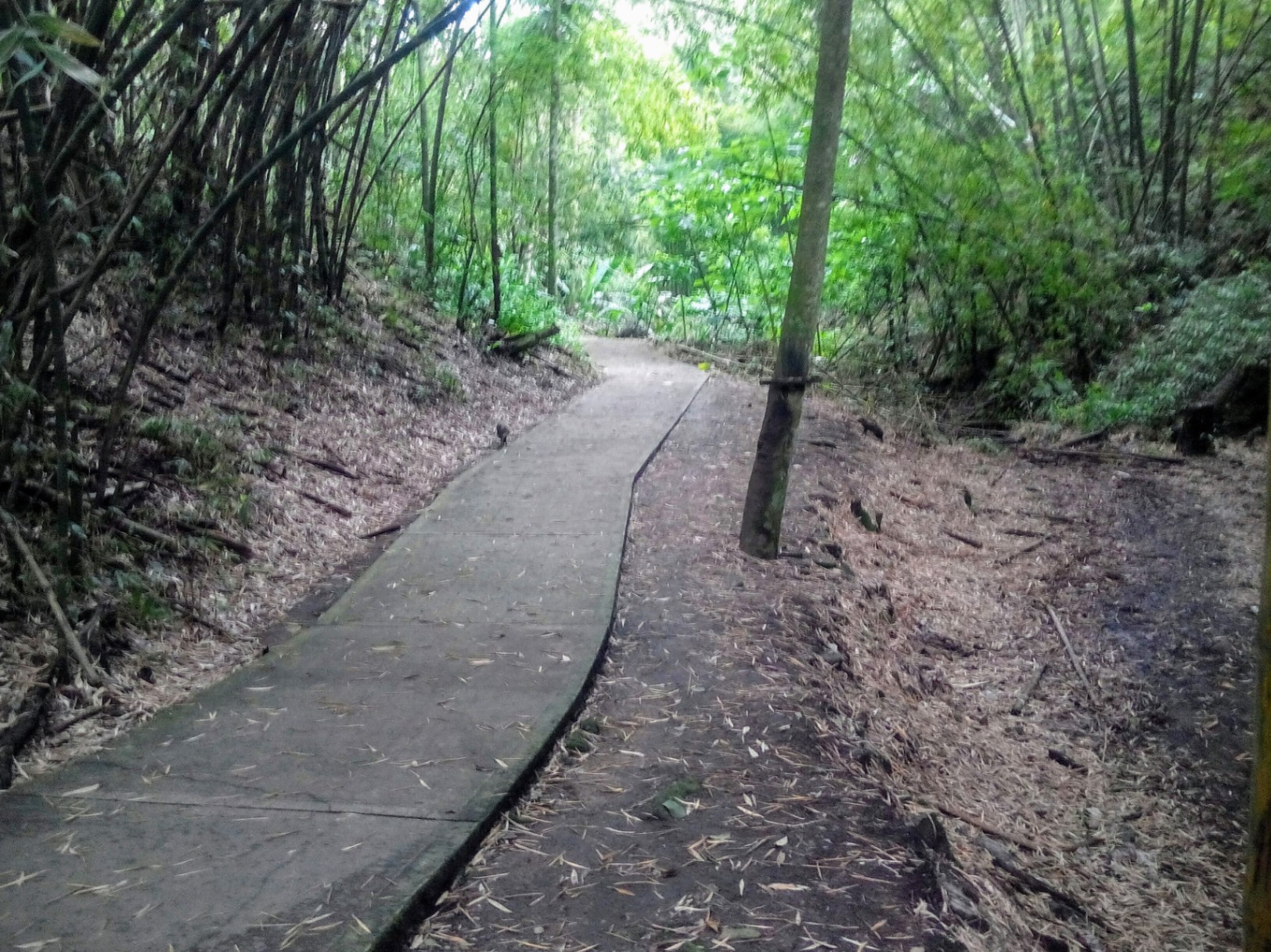 Parque de la vida