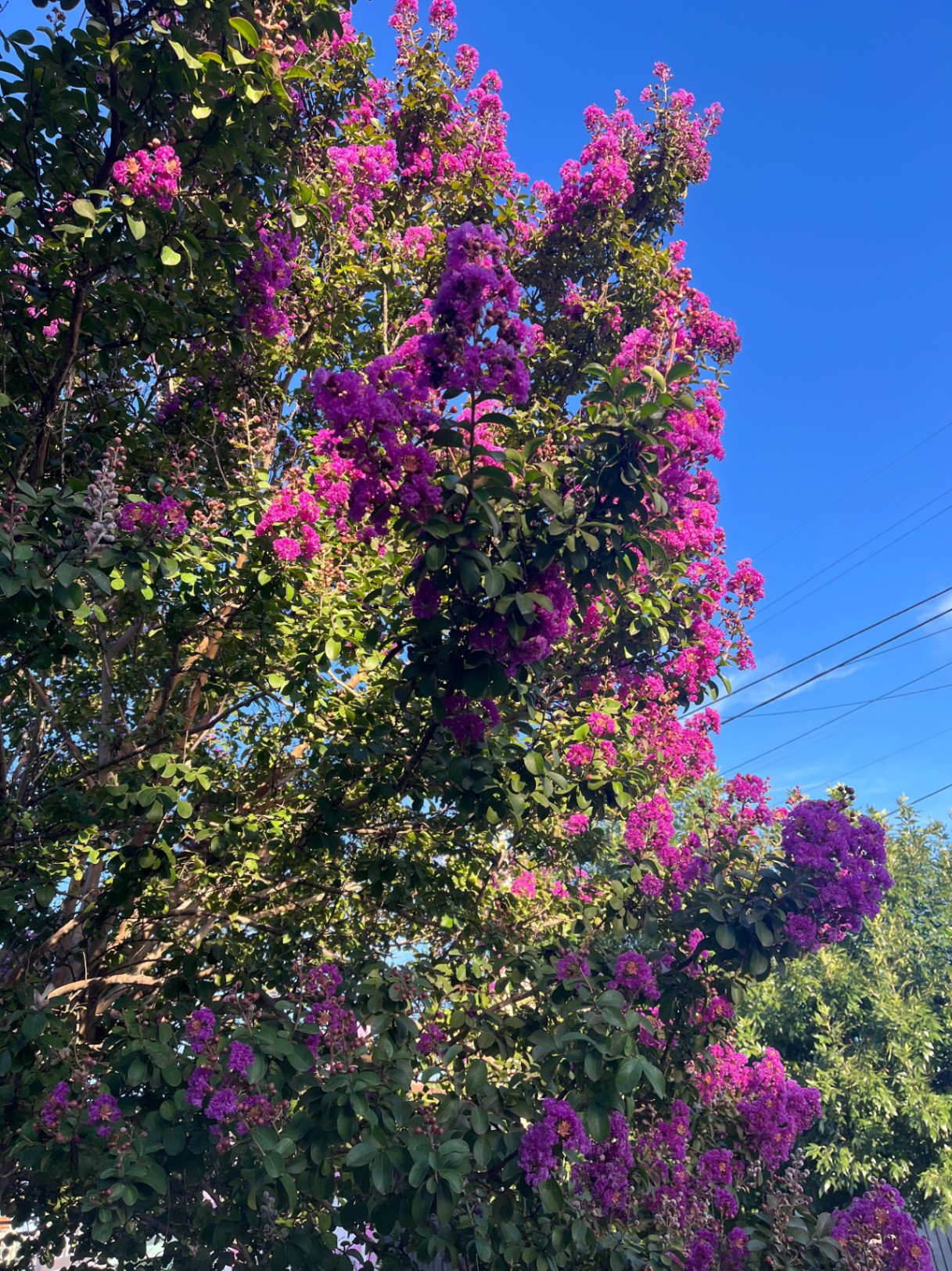 20 de enero, llueve y te extraño.