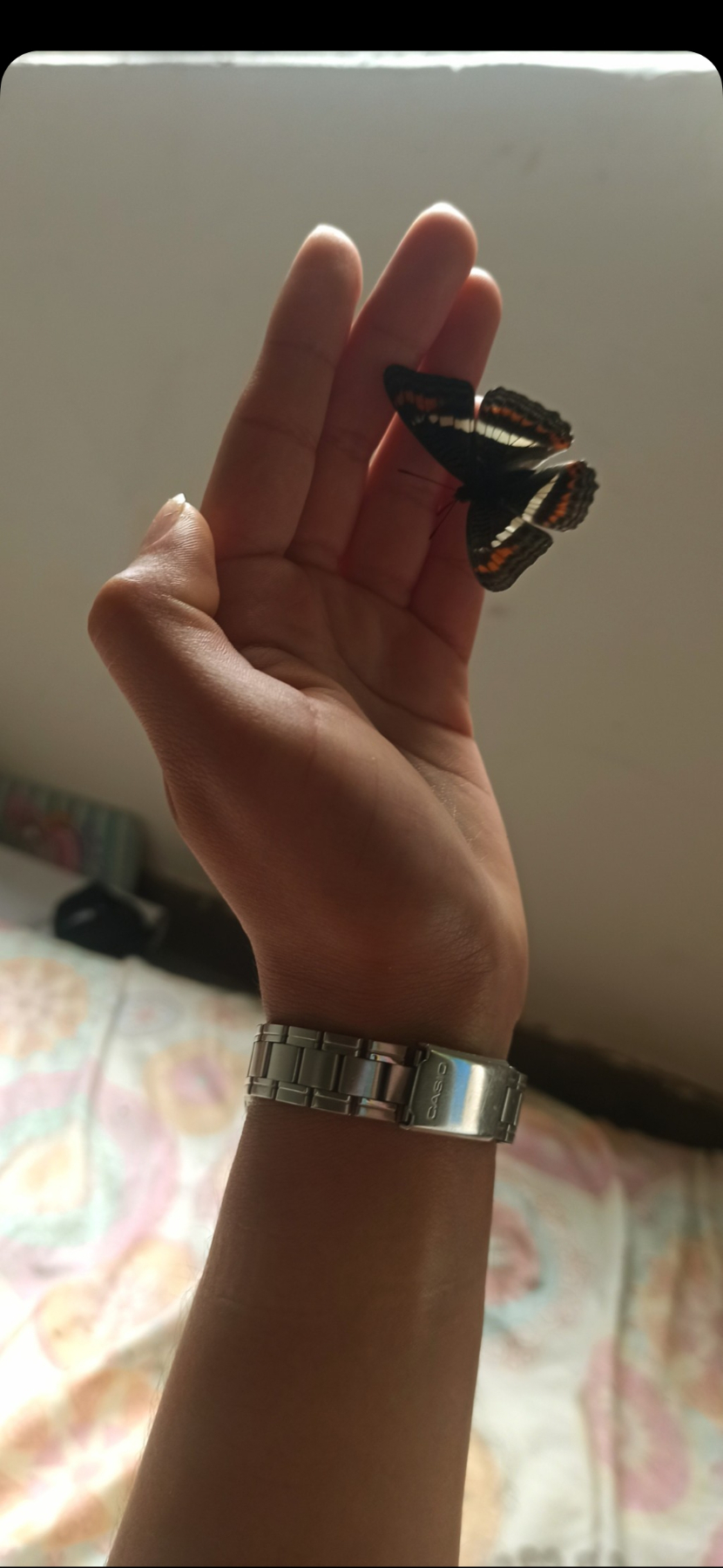 Sombras En Medio De La Multitud