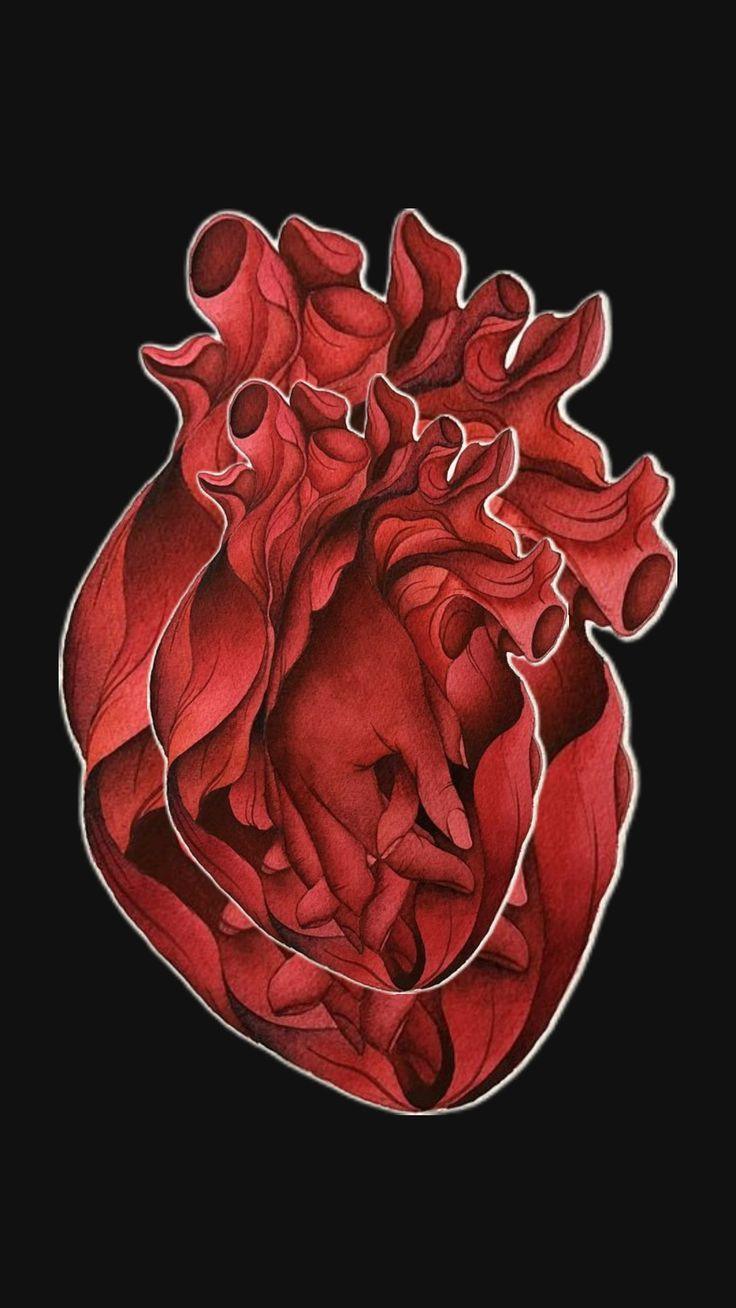 Marcas de un corazón 