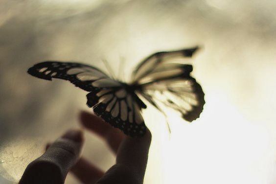 Fantasma de un pasado