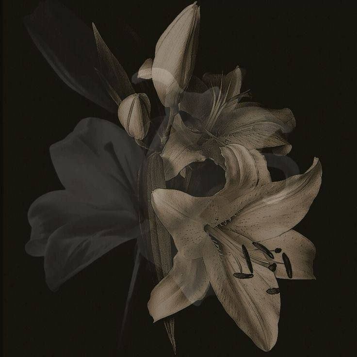 Flower With Thorns