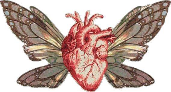 𝐌𝐞 𝐒𝐚𝐧𝐠𝐫𝐨́ 𝐞𝐥 𝐂𝐨𝐫𝐚𝐳𝐨́𝐧