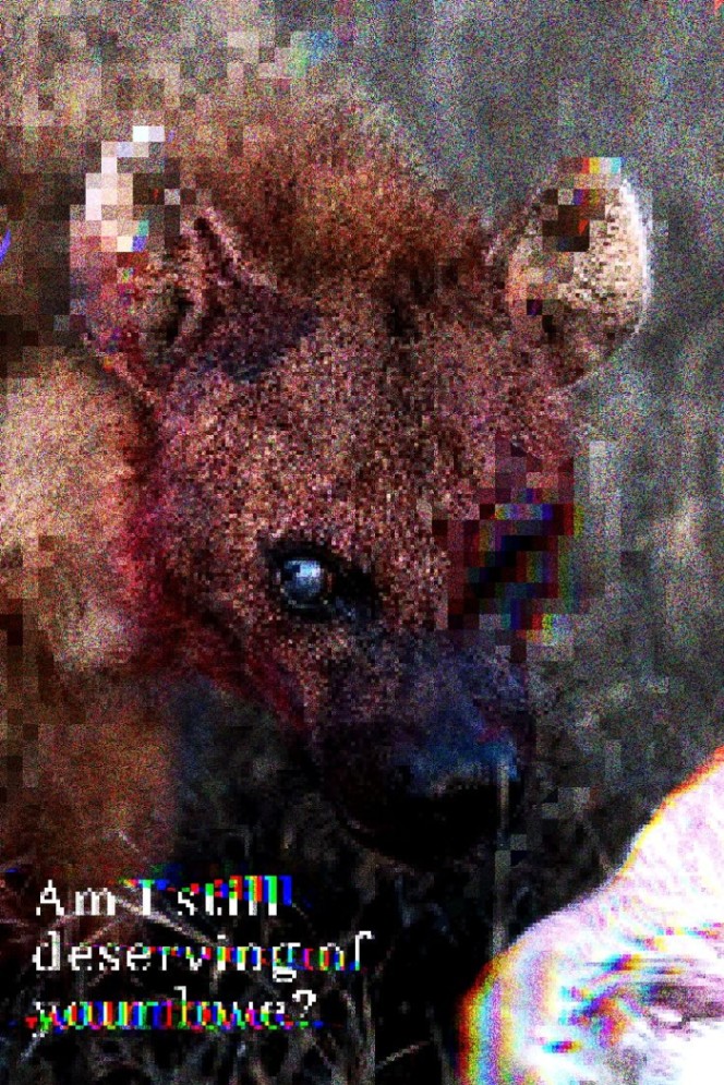 La Noche De La Inmolación