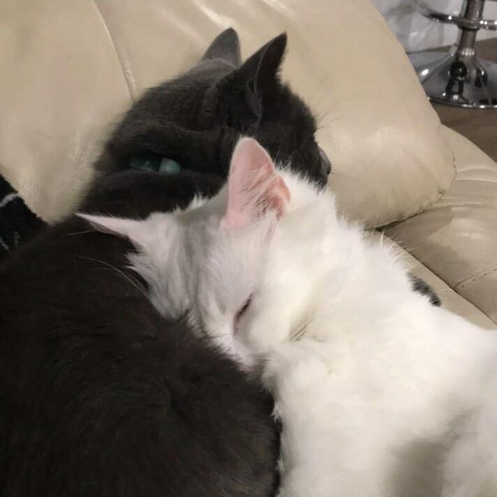 Conectando Con Lo Simple