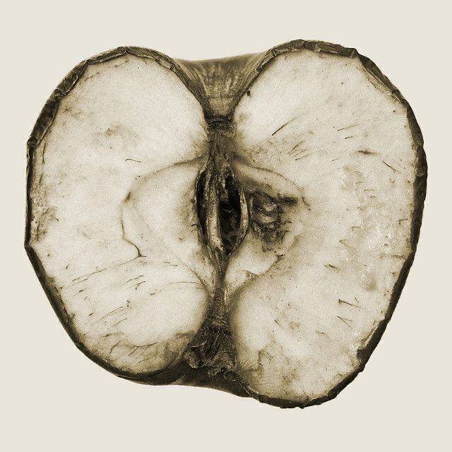 Árbol