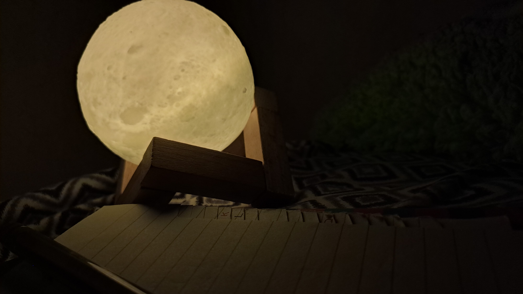 Una polilla que solo quiere un poco de luz 