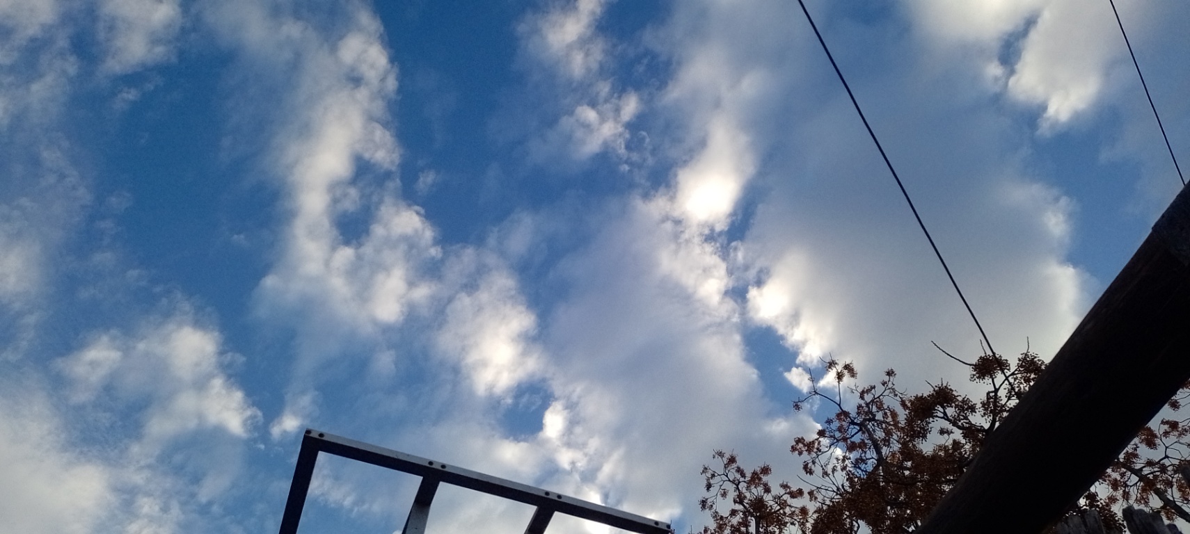 Paz