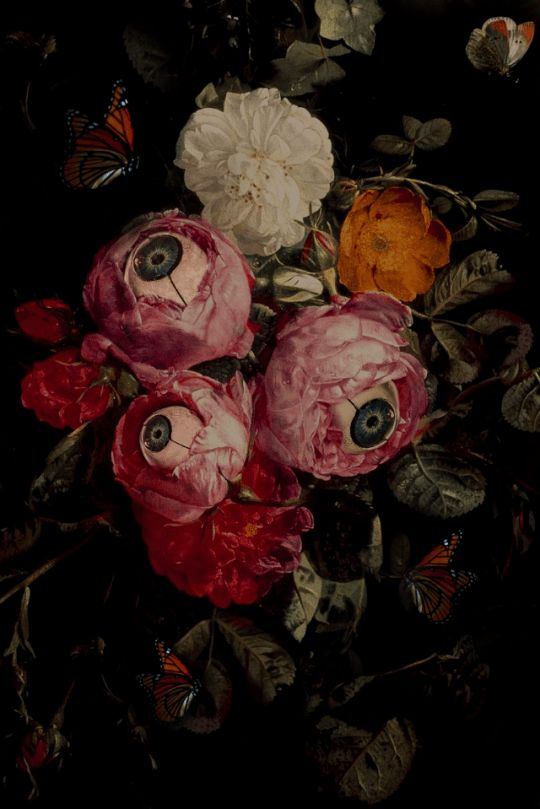 Enceguecido corazón