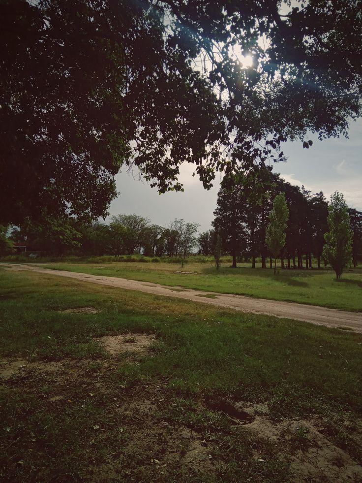 la única paz que podré tener