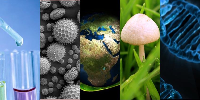 ONTOLOGÍA DE LA BIOLOGÍA