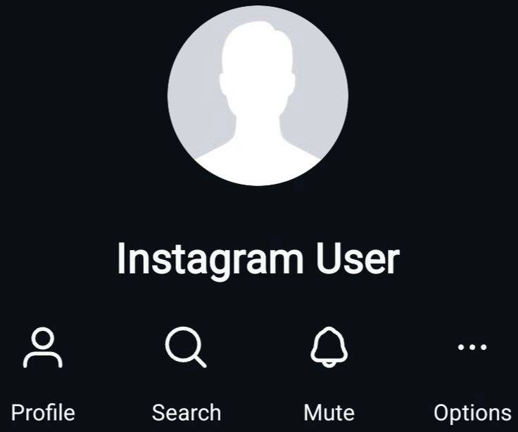 Usuario de Instagram