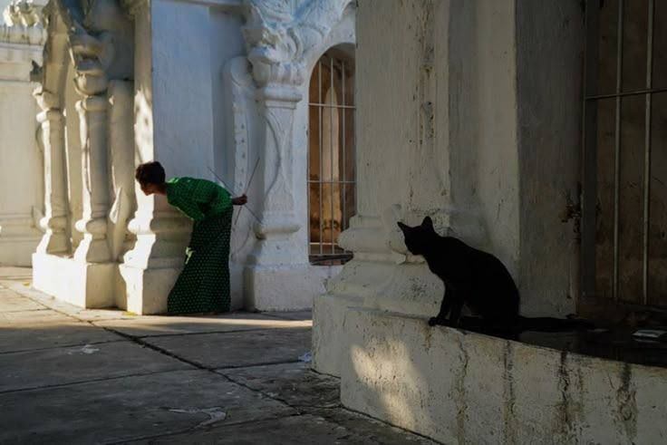 HAY MURMULLOS CON FORMA ATRAPADOS EN EL MURO