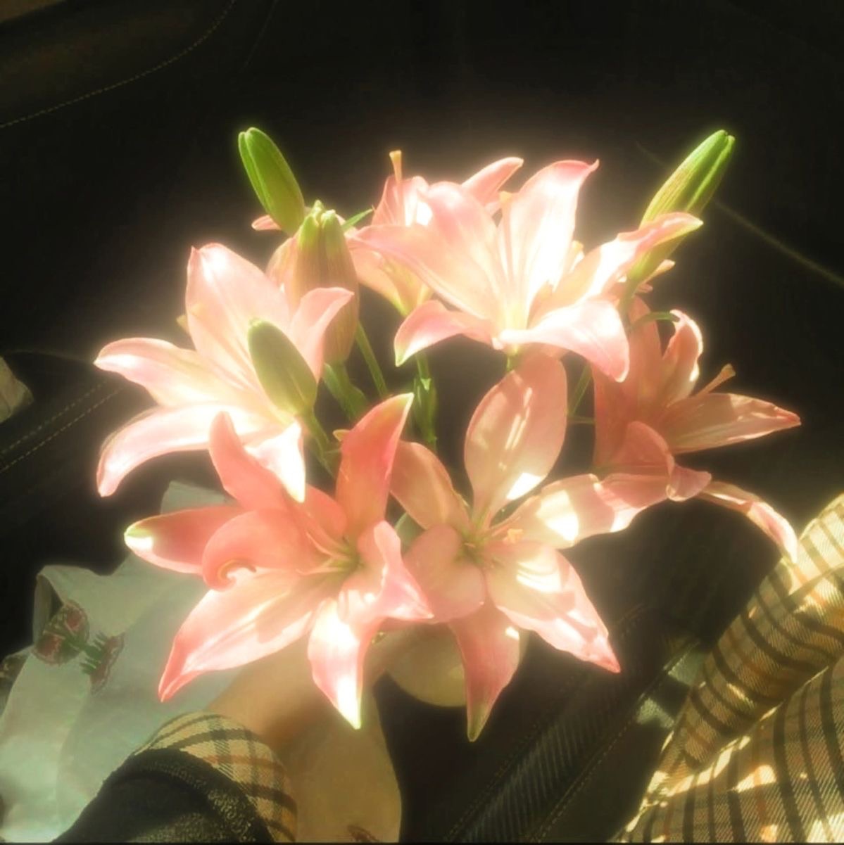 tu primavera