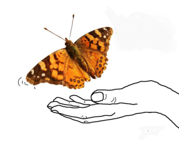 profile img Mariposa sonriente  profile img