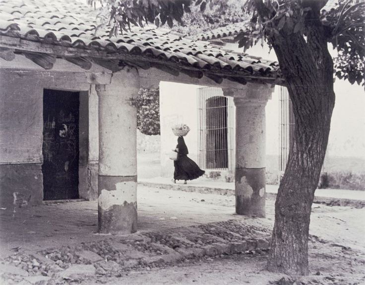 Criollada Norteña.