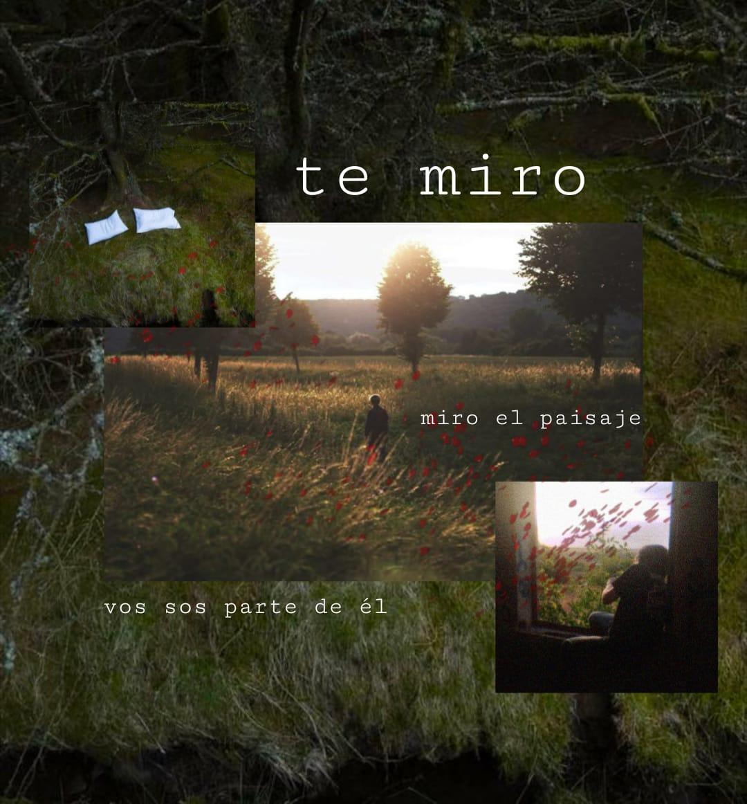 te miro