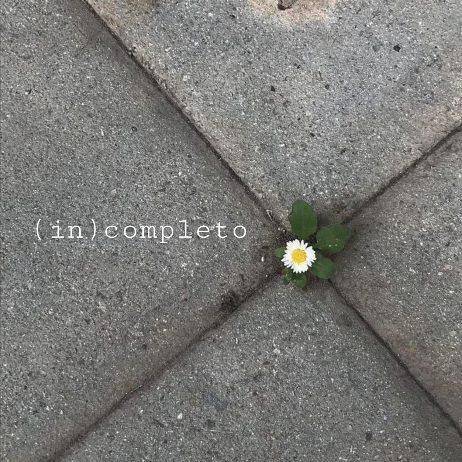 (in)completo