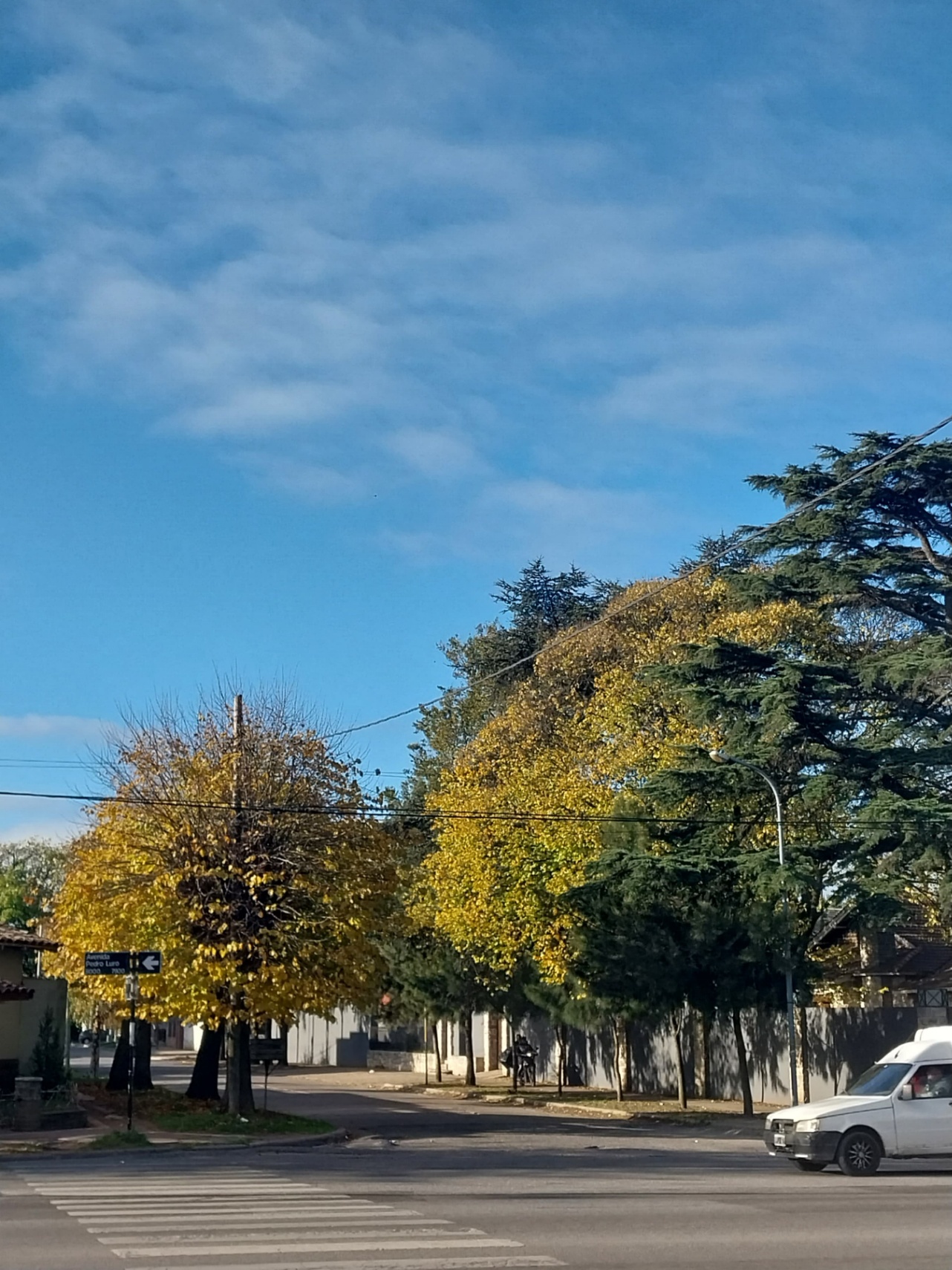 En conclusión, Barry cover img