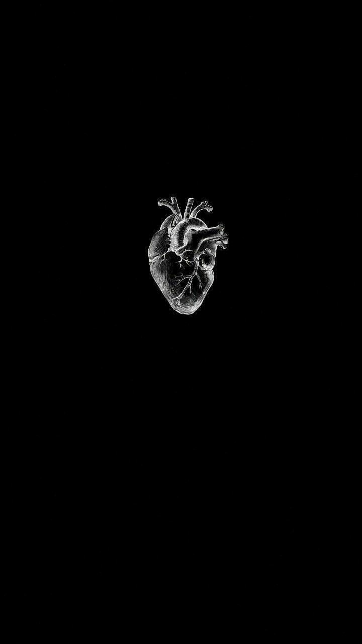 El amor y la muerte 