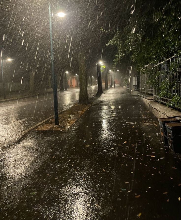Susurros en la lluvia.