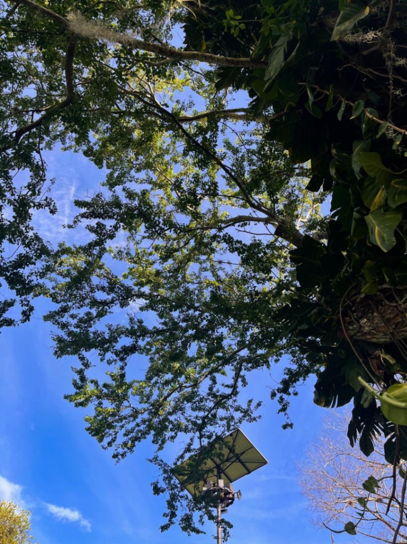 Mejor que dios me suplique a mí